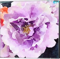Purple Flower Fine Art Print