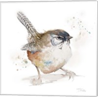 Watercolor Mountain Bird I Fine Art Print