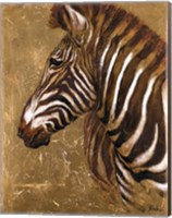 Gold Zebra Fine Art Print