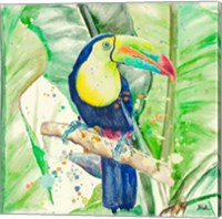 Colorful Toucan Fine Art Print