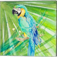 Colorful Parrot Fine Art Print