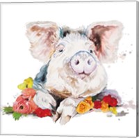 Happy Little Pig Fine Art Print