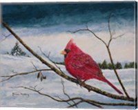 Cardinal In A Pastel Sky Fine Art Print