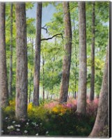 Enchanted Forest Fine Art Print