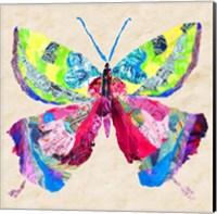 Brilliant Butterfly I Fine Art Print