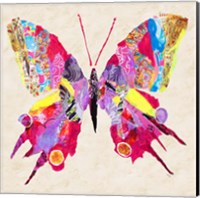 Brilliant Butterfly II Fine Art Print
