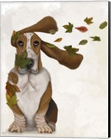 Basset Hound Windswept and Interesting Fine Art Print