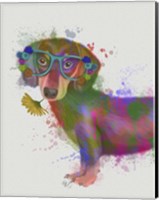 Dachshund And Glasses Rainbow Splash Fine Art Print