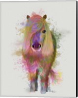 Pony 1 Full Rainbow Splash Fine Art Print