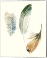 Watercolor Feathers II Fine Art Print