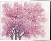 Pink Cherry Blossom Tree I Fine Art Print