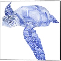 Ultramarine Sea Turtle I Fine Art Print