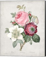 Bouquet IV Fine Art Print