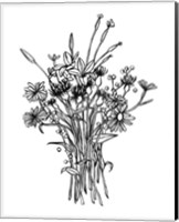 Black & White Bouquet I Fine Art Print