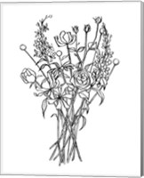 Black & White Bouquet III Fine Art Print