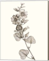 Neutral Botanical Study I Fine Art Print