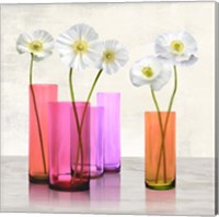 Poppies in crystal vases (Purple I) Fine Art Print