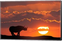 Kenya, Masai Mara Composite Of White Rhino Silhouette And Sunset Fine Art Print