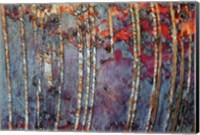Canada, Quebec, Mount St-Bruno Conservation Park White Birch Root Bark Patterns Fine Art Print