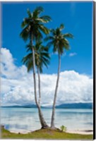 Lonely Palm Tree In The Marovo Lagoon, Solomon Islands Fine Art Print
