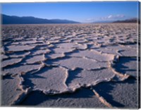 Patternson Floor Of Death Valley National Park, California Fine Art Print