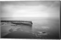 California, La Jolla Children's Pool (BW) Fine Art Print