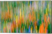 Wildflower Abstraction, Angeles National Forest Fine Art Print