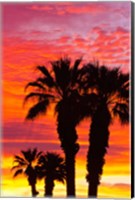 Silhouetted Palms At Sunrise Fine Art Print