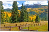 Autumn Colors In The San Juan Mountains, Colorado Fine Art Print