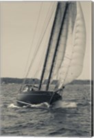 Single Schooner In Cape Ann, Massachusetts (BW) Fine Art Print