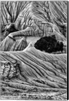 Unusual Erosion Formations In Makoshika State Park (BW) Fine Art Print