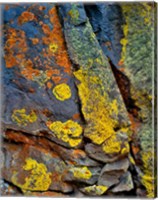 Lichen Covered Basalt Rock, Oregon Fine Art Print