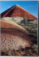Oregon, John Day Fossil Beds National Monument The Undulating Painted Hills Fine Art Print