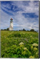 Cape Blanco Lighthouse, Oregon Fine Art Print