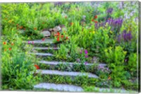 Summer Flowers On Stairs In Pennsylvania Fine Art Print