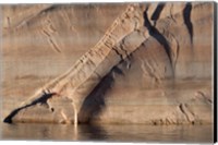 Sandstone Canyon Wall Detail, Utah Fine Art Print