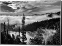 Olympic National Park, Washington (BW) Fine Art Print