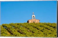 Malbec Grapes In A Vineyard, Washington Fine Art Print