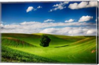 Rolling Wheat Field Landscape With A Lone Tree Fine Art Print
