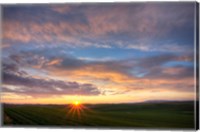 Sunset Cast On Rolling Hills Of Green, Washington State Fine Art Print