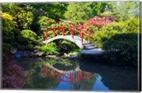 Moon Bridge In The Kubota Gardensm Washington State Fine Art Print