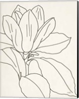 Magnolia Line Drawing v2 Crop Fine Art Print