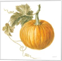 Floursack Autumn VI on White Fine Art Print