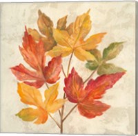 November Leaves IV Fine Art Print
