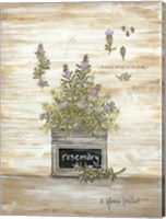 Rosemary Botanical Fine Art Print