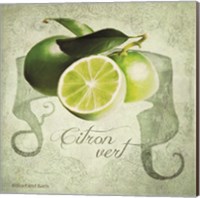 Vintage Limes Citron Fine Art Print