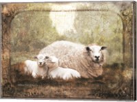 Vintage Ewe and Sleeping Lambs Fine Art Print