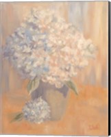 Hydrangeas in the Morning Light Fine Art Print