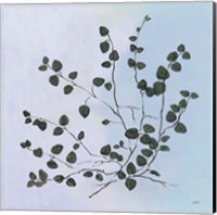 Botanical Study VII Blue Fine Art Print