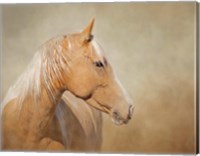 Silk - Mustang Mare Fine Art Print